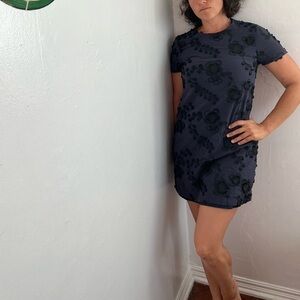 Banana Republic Embroidered Mini Dress